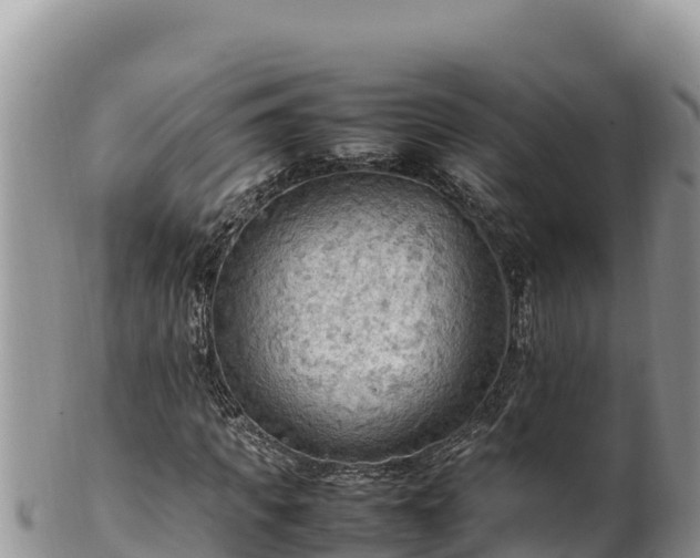 X0000102250917200808011307