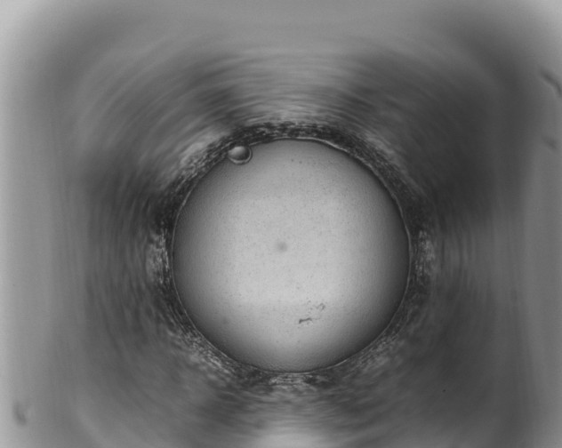 X0000102250918200808011307