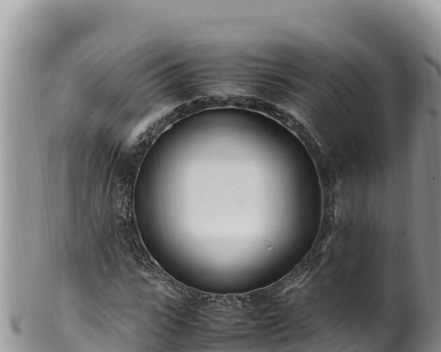 X0000102250919200808011307