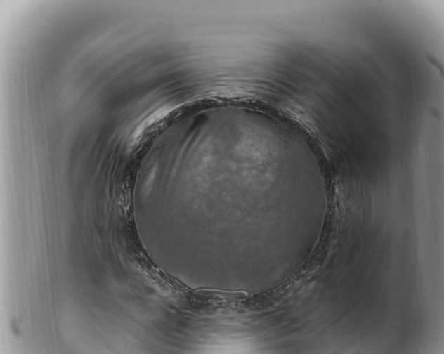 X0000102250920200808011307