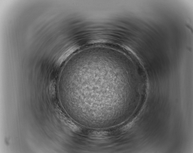 X0000102250921200808011307