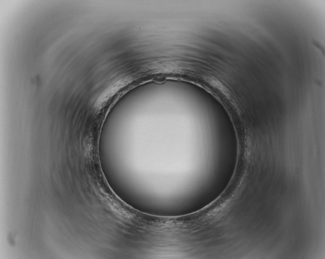 X0000102250922200808011307