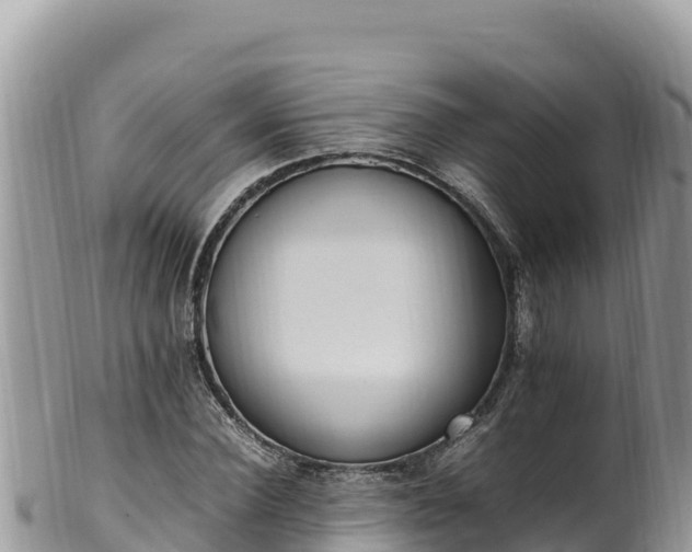 X0000102250924200808011307