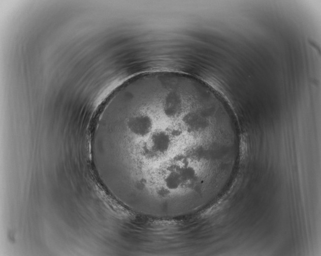 X0000102250925200808011307