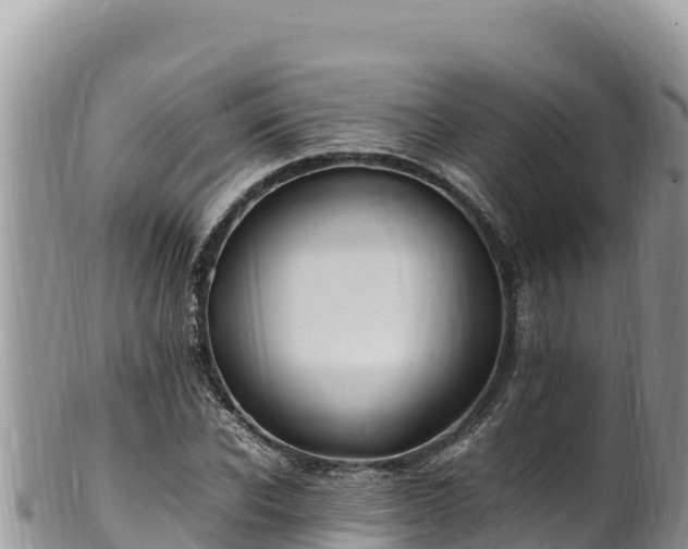 X0000102250926200808011307