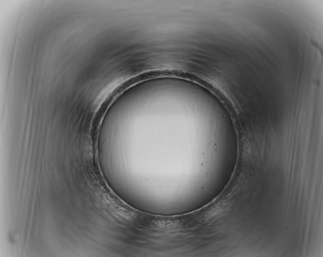 X0000102250927200808011307