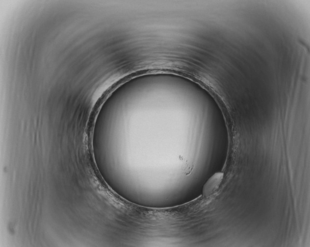 X0000102250928200808011307