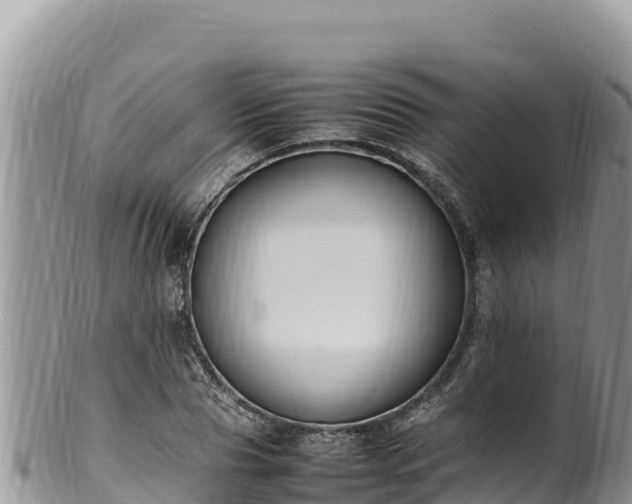 X0000102250929200808011307