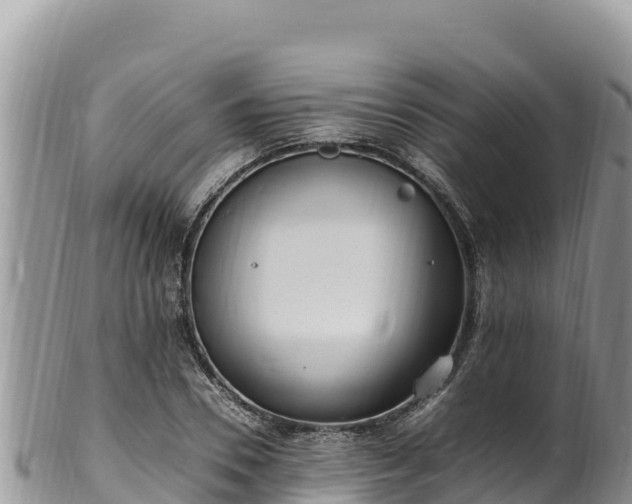 X0000102250930200808011307