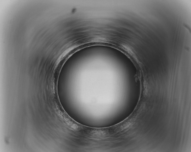 X0000102250931200808011307