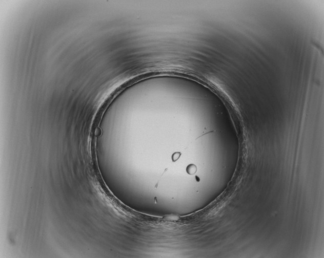 X0000102250932200808011307