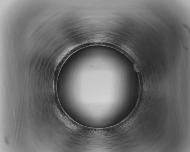 X0000102250934200808011307