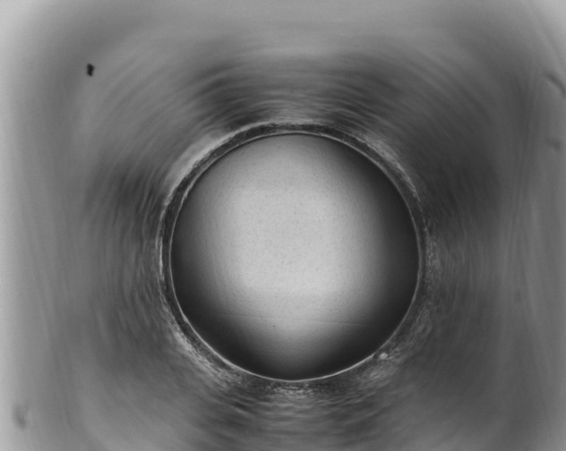 X0000102250935200808011307