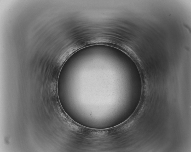 X0000102250937200808011307