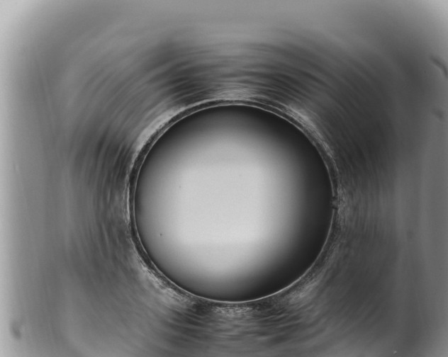 X0000102250939200808011307