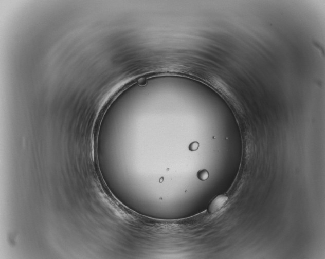 X0000102250940200808011307