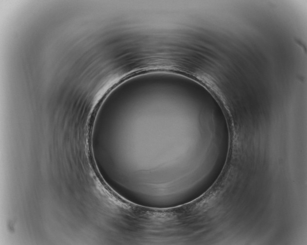 X0000102250941200808011307