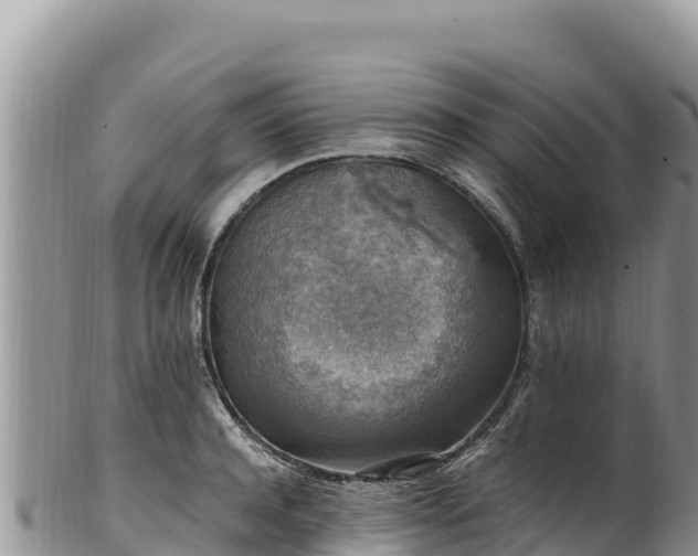 X0000102250944200808011307