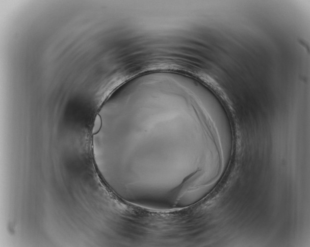 X0000102250945200808011308