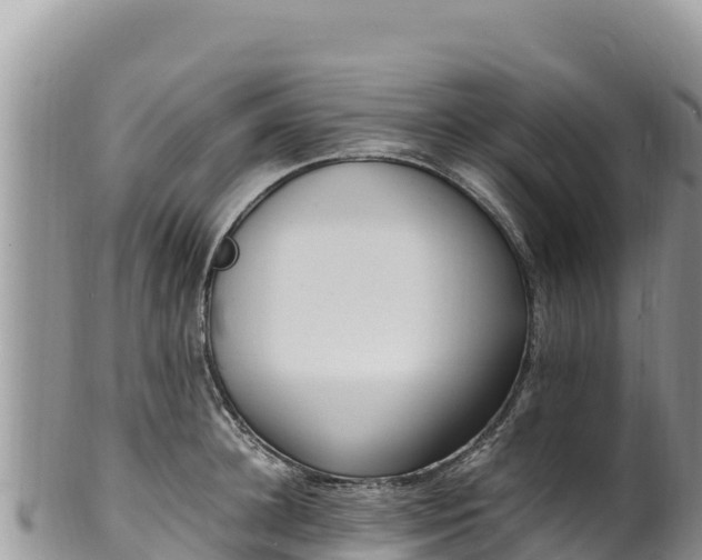 X0000102250948200808011308