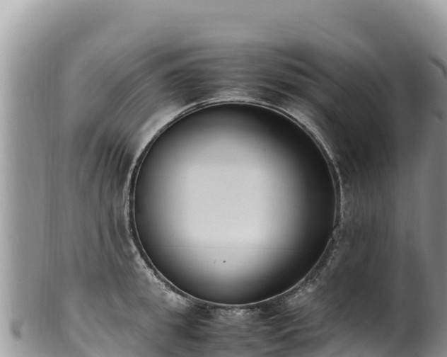 X0000102250949200808011308