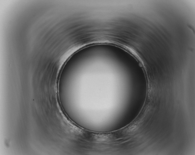 X0000102250951200808011308