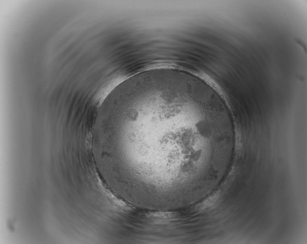 X0000102250953200808011308