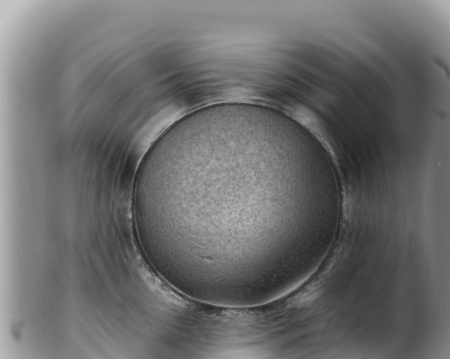 X0000102250954200808011308