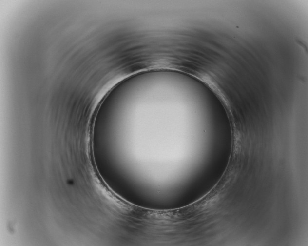 X0000102250955200808011308