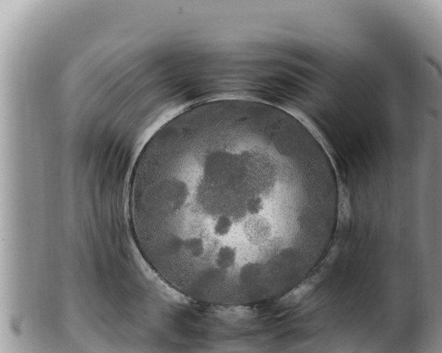 X0000102250957200808011308