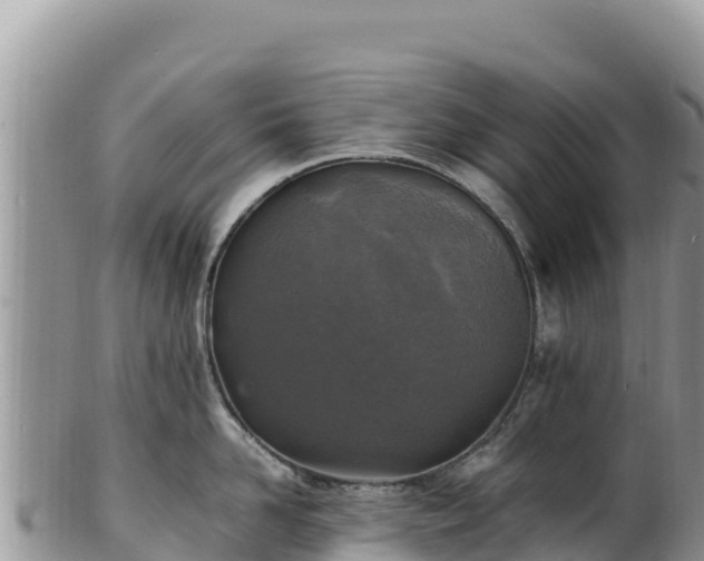 X0000102250958200808011308