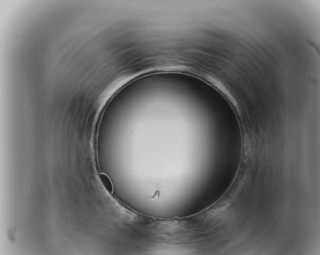 X0000102250959200808011308