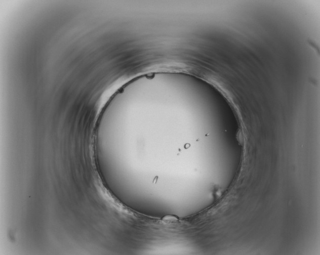 X0000102250960200808011308