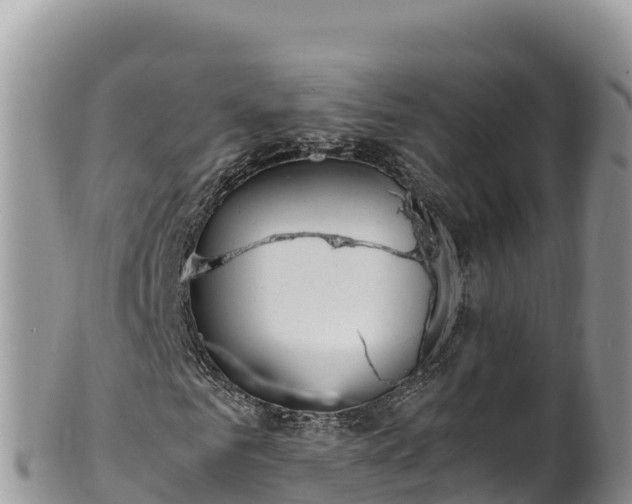 X0000102250961200808011307