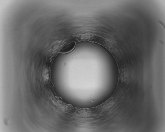 X0000102250962200808011307