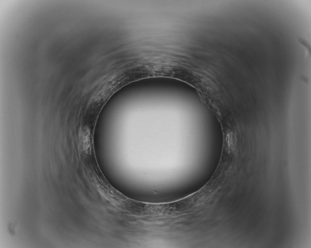 X0000102250963200808011307