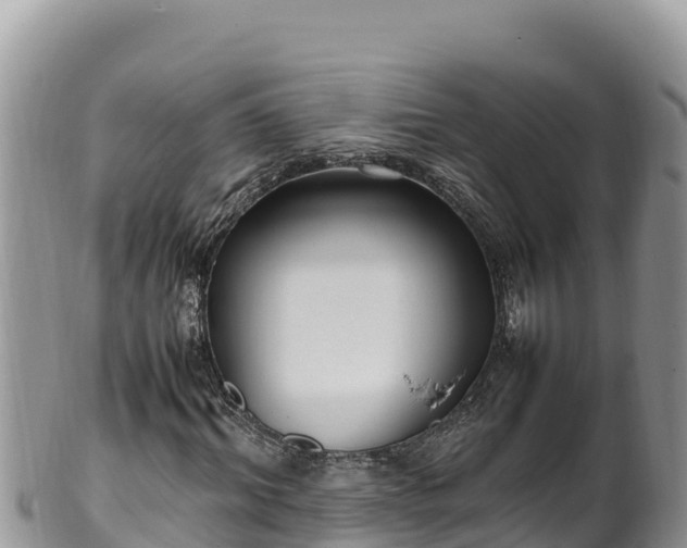 X0000102250964200808011307