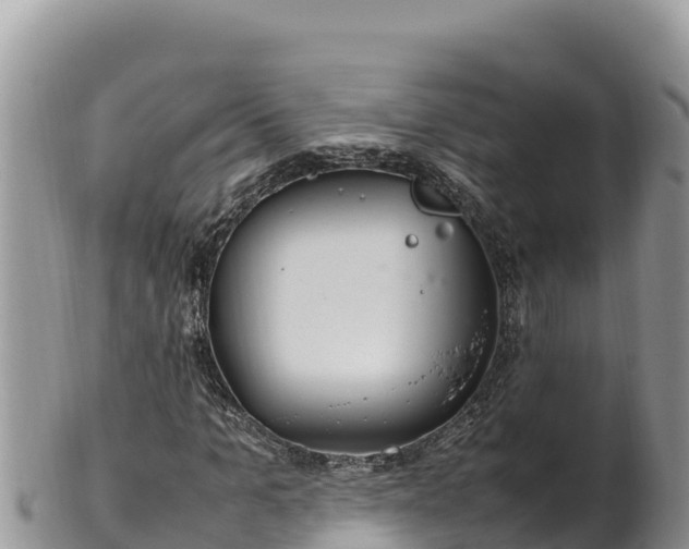 X0000102250965200808011307