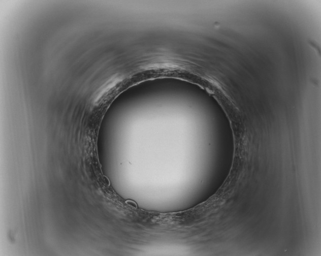 X0000102250967200808011307