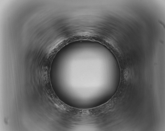 X0000102250968200808011307