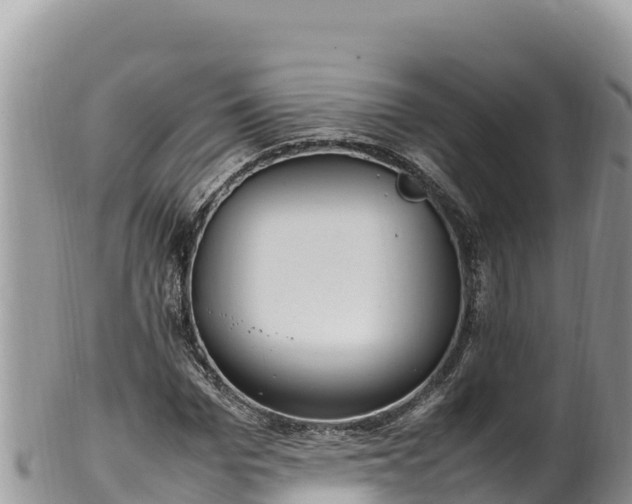 X0000102250969200808011307