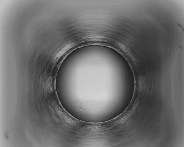 X0000102250970200808011307