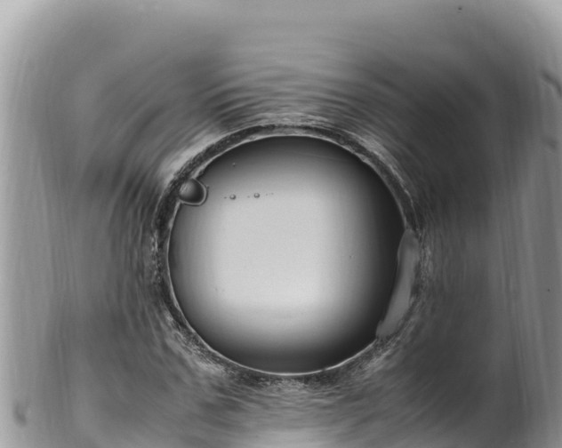 X0000102250971200808011307