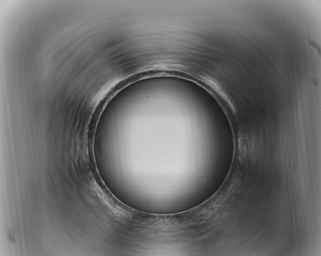 X0000102250972200808011307