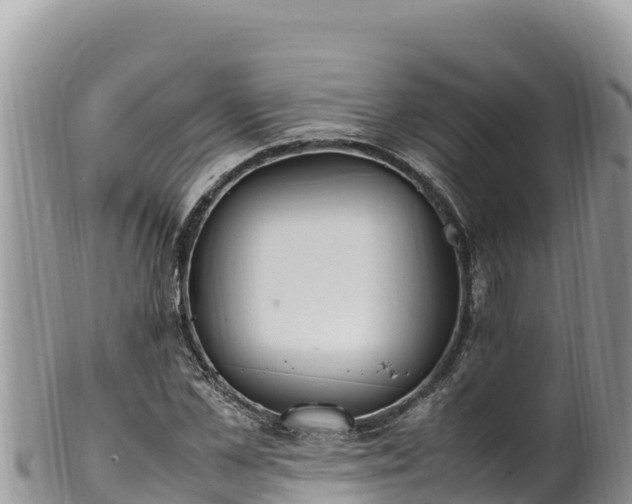 X0000102250973200808011307