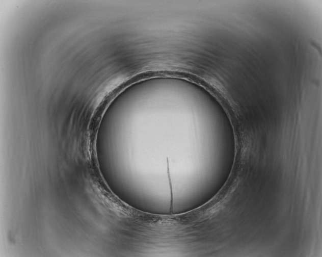 X0000102250974200808011307