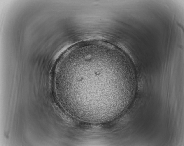 X0000102250975200808011307