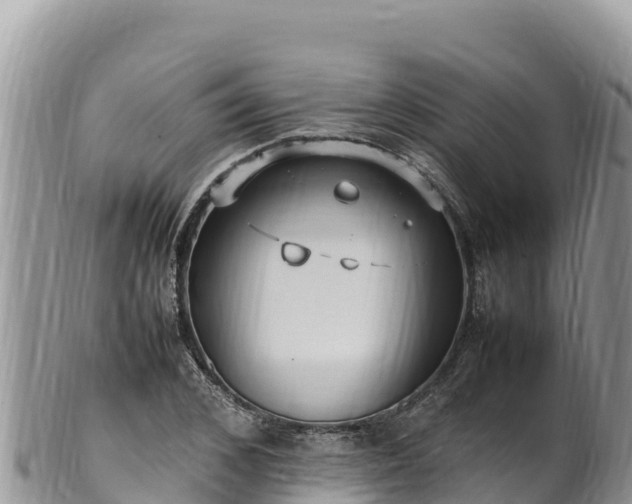 X0000102250976200808011307