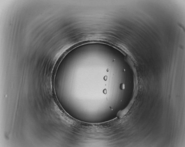 X0000102250980200808011307