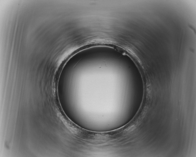 X0000102250981200808011307